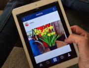 Instagram Lets Florists Take Beautiful Flower Photos Instagram Lets Florists Take Beautiful Flower Photos