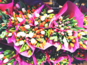 Floral House Accounts – Pros & Cons Floral House Accounts – Pros & Cons