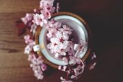 Top 6 Things Every Florist Should Sell In 2017! Top 6 Things Every Florist Should Sell In 2017!
