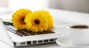 Florist Marketing – Getting Started With Google My Business Florist Marketing – Getting Started With Google My Business