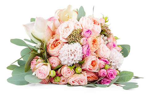 Florist Resources Floranext Florist Websites Floral Pos Floral Software