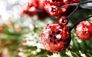 Florist Website Background - Red Christmas
