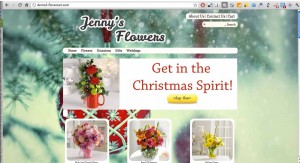 Florist Website - Christmas Background