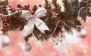 Florist Website Background - Pink Christmas