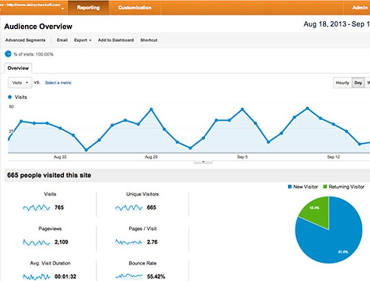 This is what the Audience View looks like for a florist website