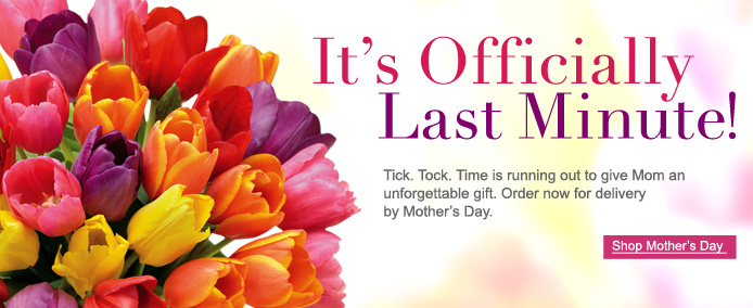 Last minute flower delivery for best sale mother's day