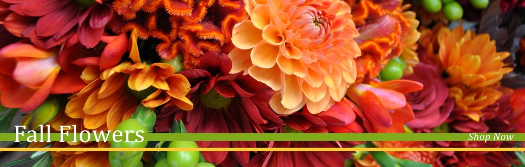 Flower Shop Marketing - Fall Flower Shop Marketing - Fall