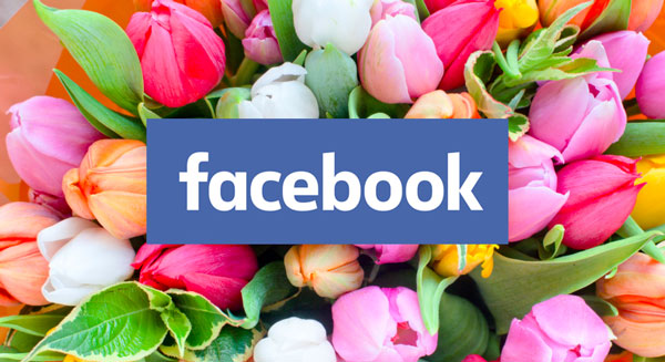 Facebook Search For Florists