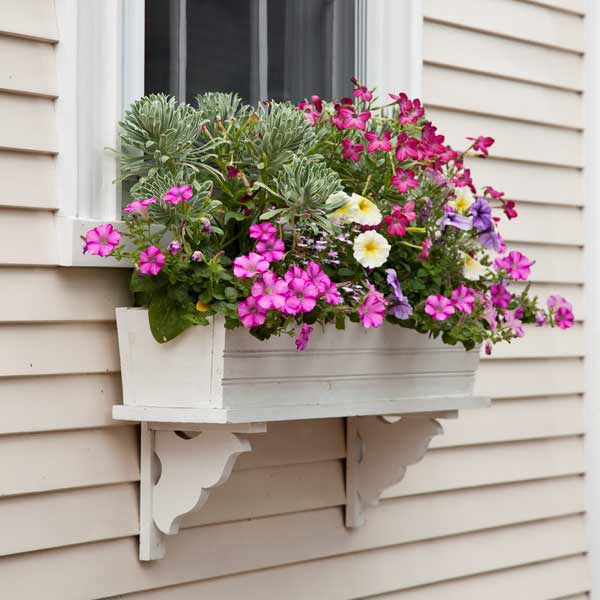 Window-Box-Floal