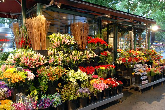 Image result for Flower Shop pictures