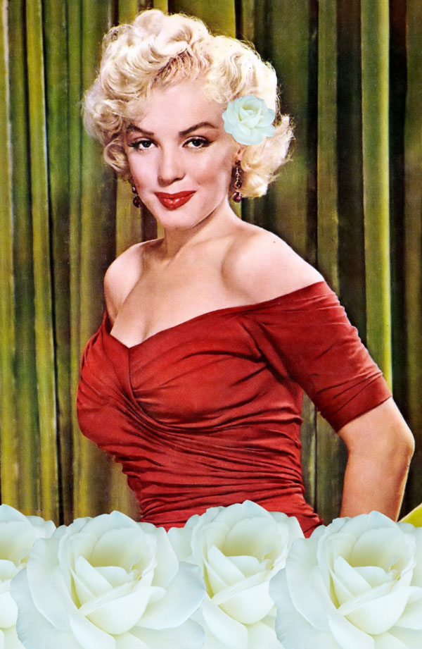 Marilyn-White-Rose
