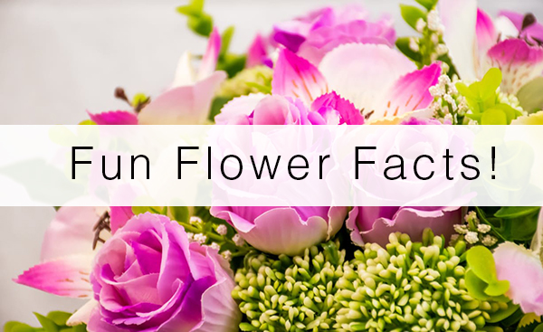 fun flower facts