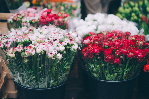 flowers-supplies-valentines-day