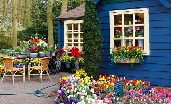 flower-shop-images