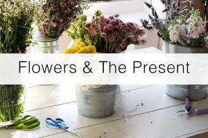 Evolution Of Flowers - Past, Present, & Future - Floranext - Florist