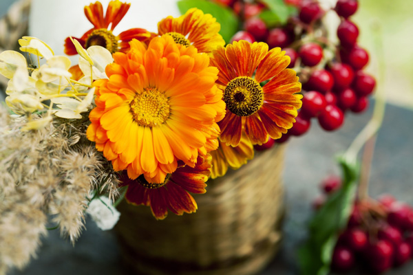 florist-card-messages