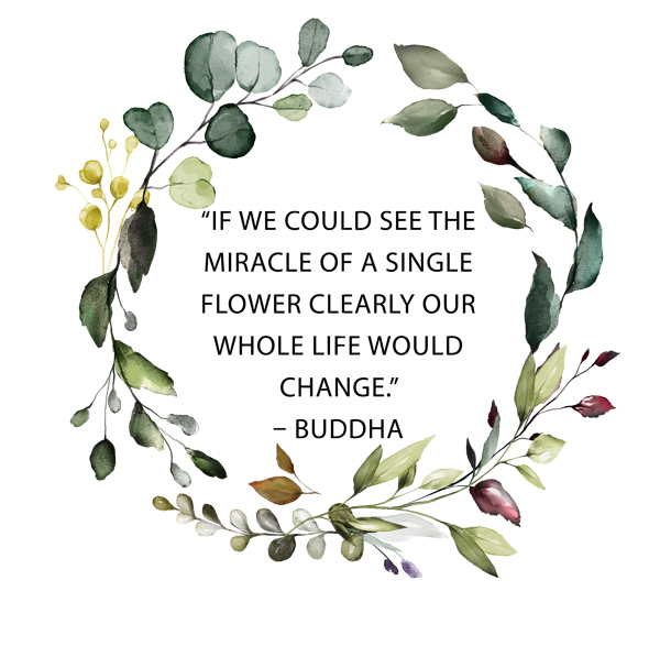 buddah-florist-quote