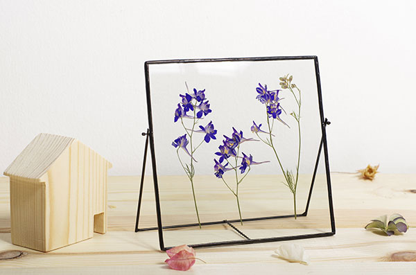 framed-pressed-flowers