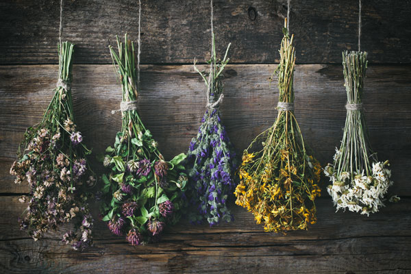 hanging-dried-flowers