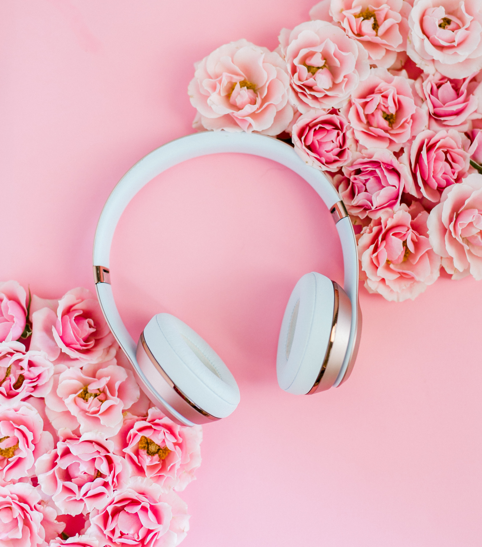 Floral-podcasts-pink-flowers