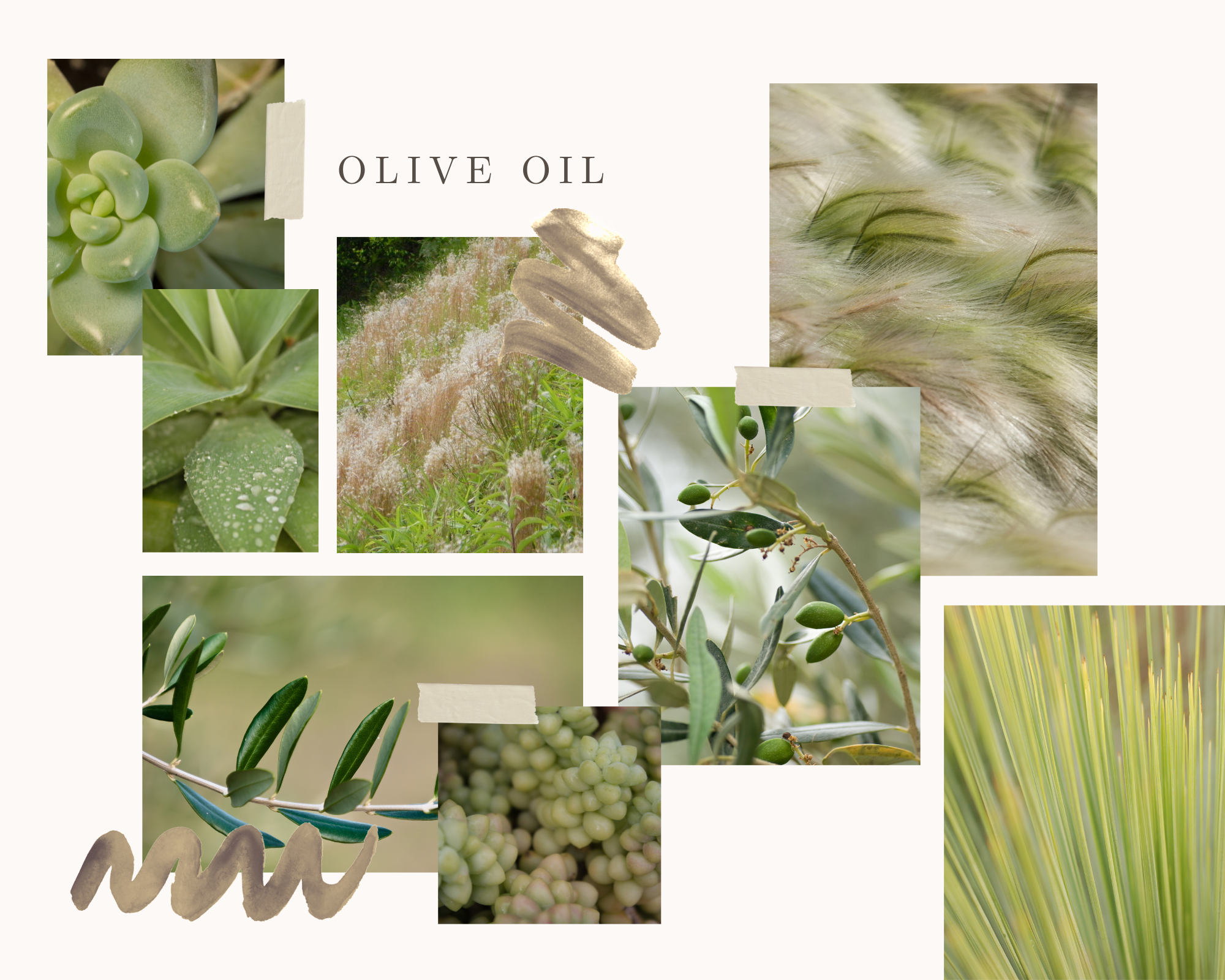 Olive-Oil-color-trend-2022-floral-examples