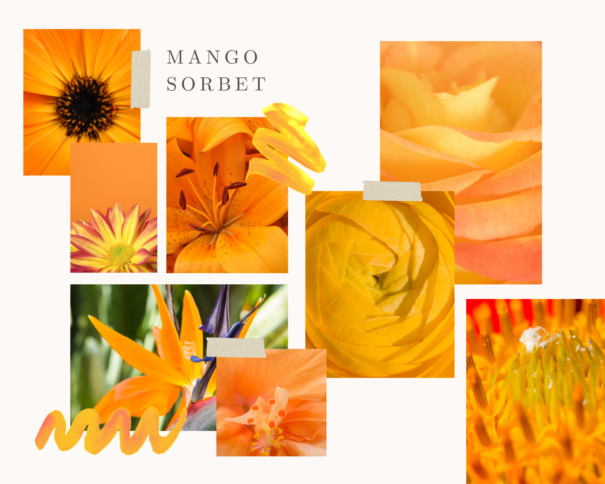 mango-sorbet-2022-color-trend-inspiration-floral