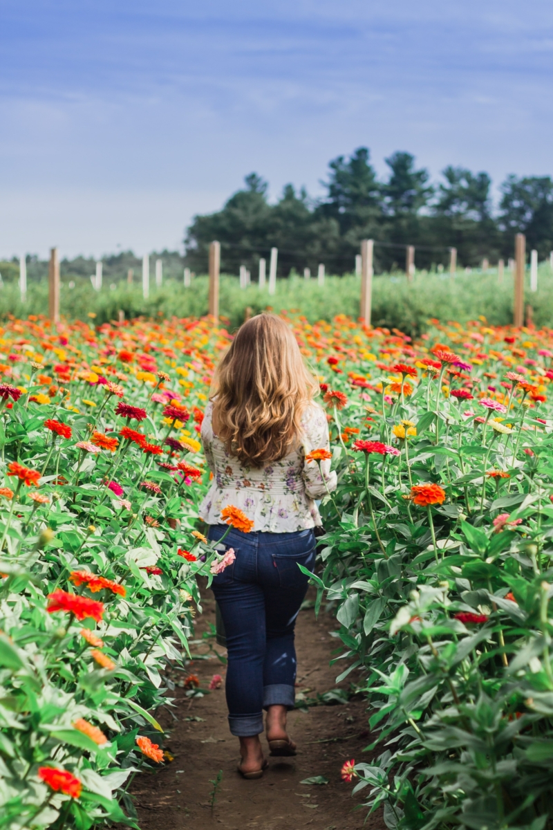 Flower-Farm-Photo-1