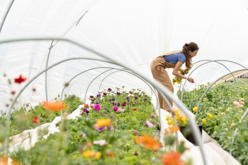 The {Farmer} & The Florist Interview: Zoë Field - Floret Flowers