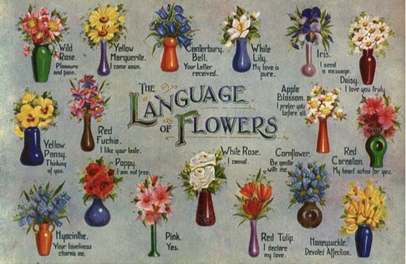 the language of flowers