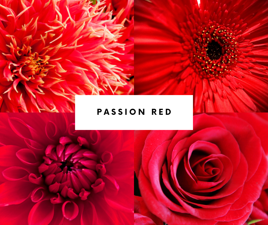 Passion Red