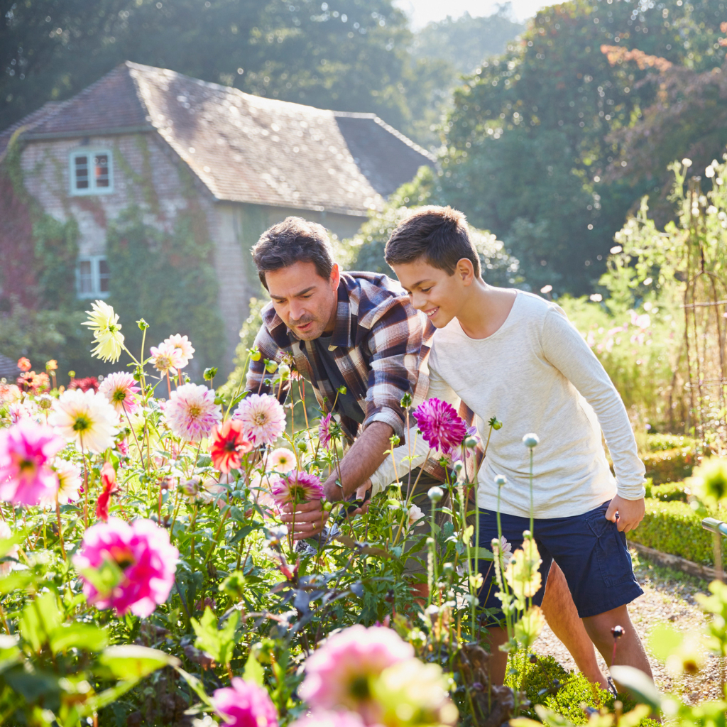 fathers and future of flowers