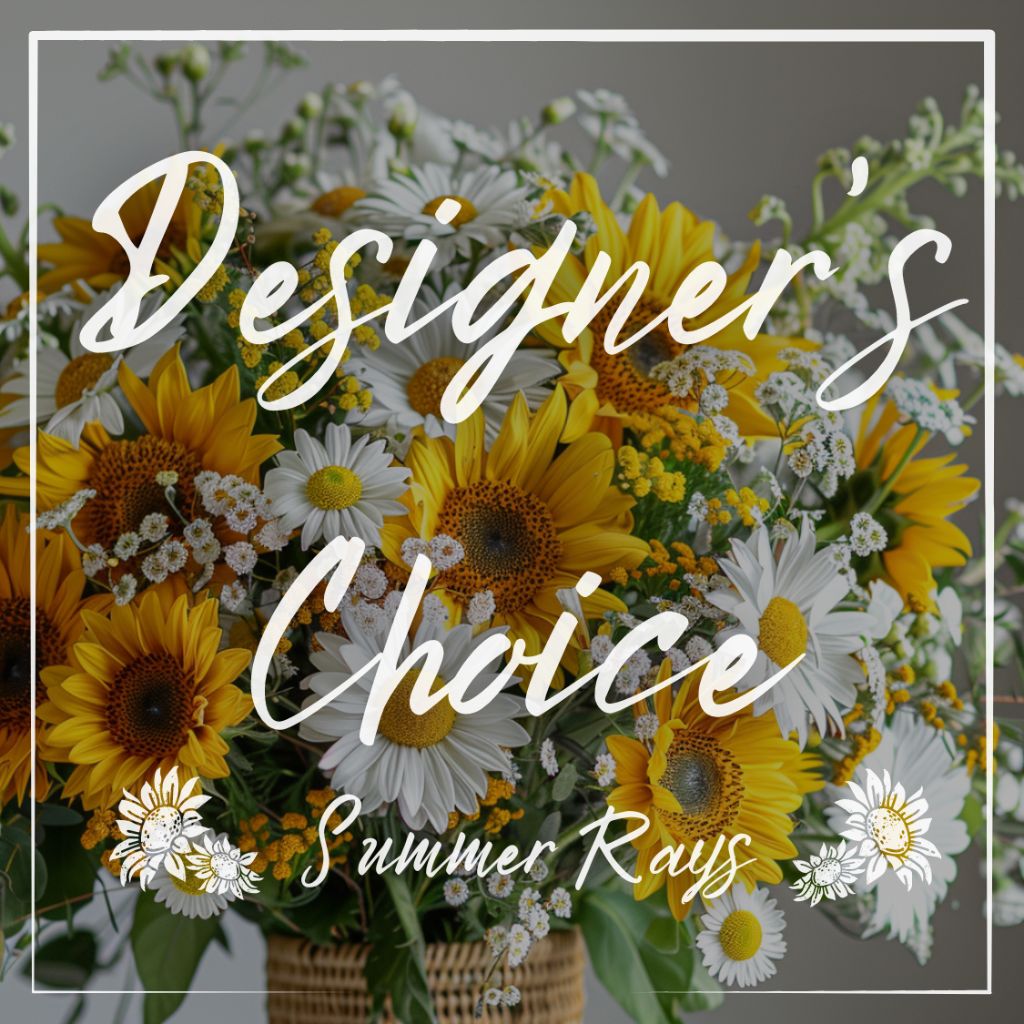 designers-choice-summer-rays