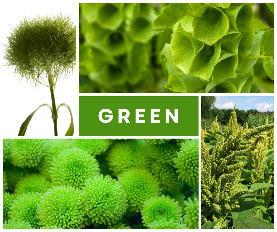 what does green flowers tell about you