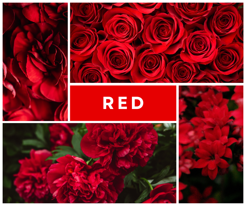 What Does Red Flowers Say About you
