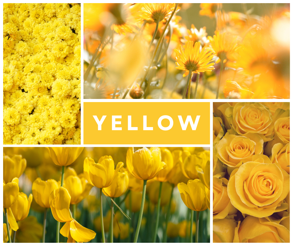 what does yellow flowers say about you